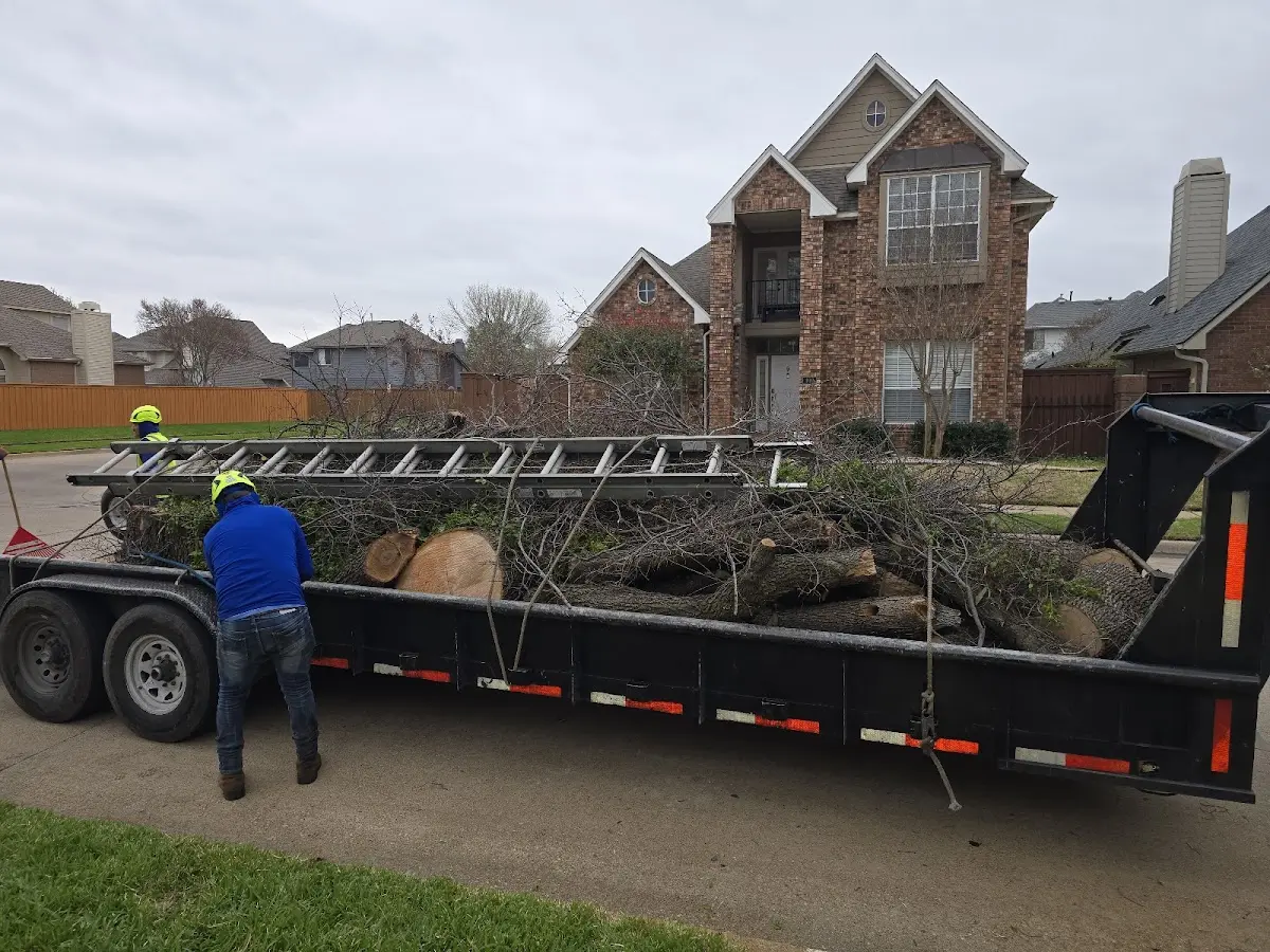 Expert Tree Removal with proper safety equipment in Thompsonville